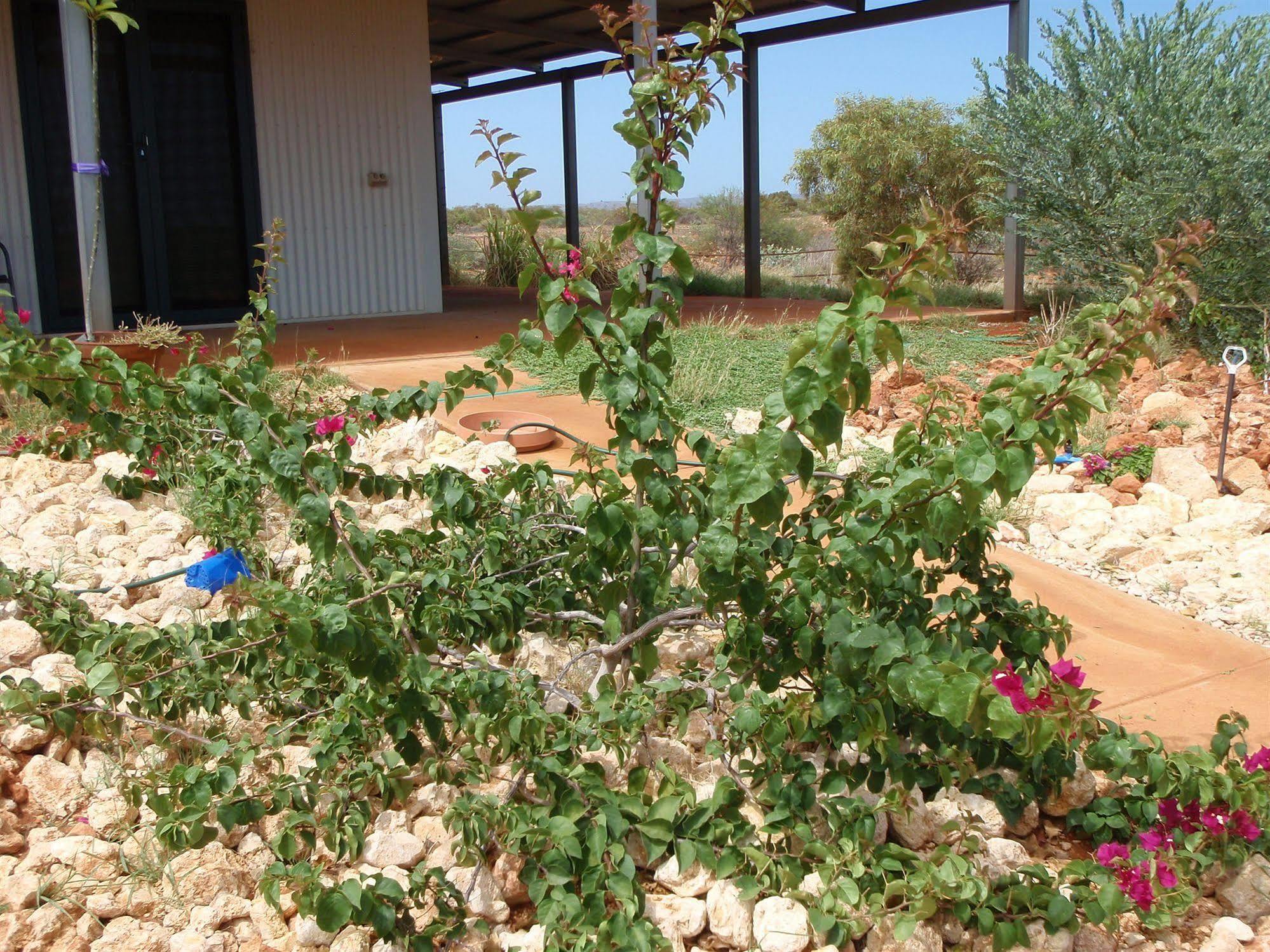Ningaloo Bed And Breakfast Exmouth Exterior foto